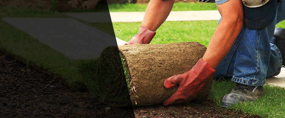Greeley Landscapers